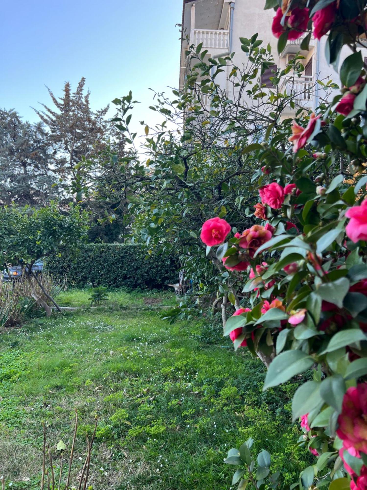 Guest House Plima 2 Budva Dış mekan fotoğraf