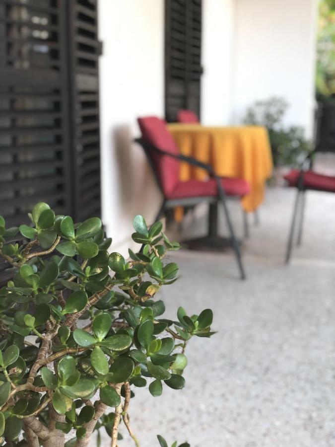 Guest House Plima 2 Budva Dış mekan fotoğraf