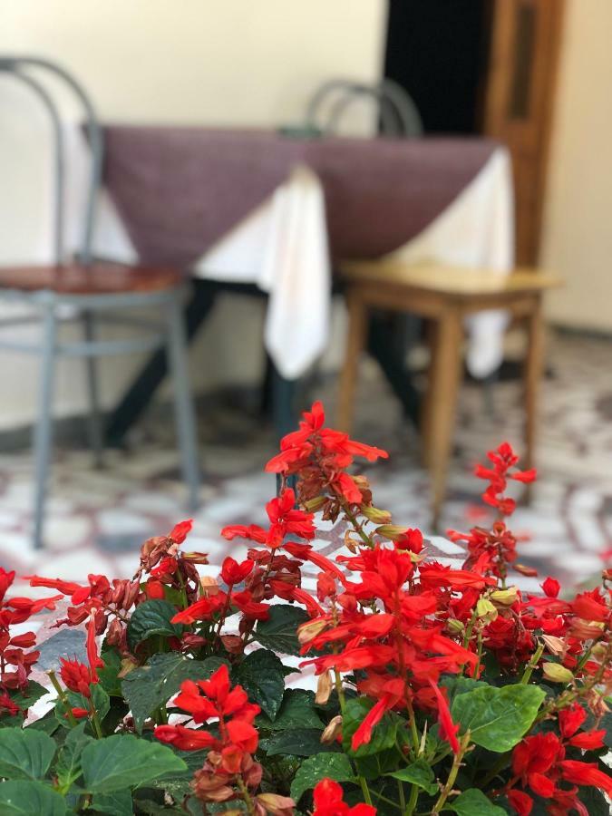 Guest House Plima 2 Budva Dış mekan fotoğraf